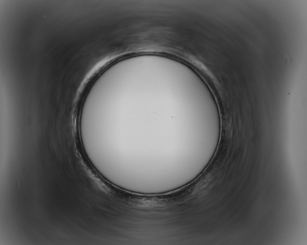 X0000083531416200703021539