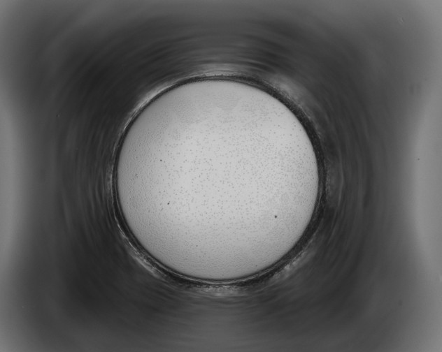 X0000083531417200703021539