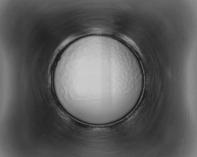 X0000083531419200703021539