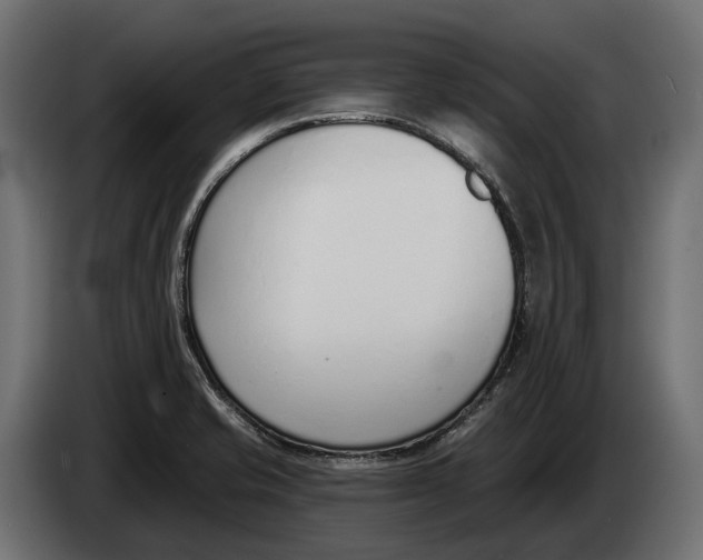 X0000083531421200703021540