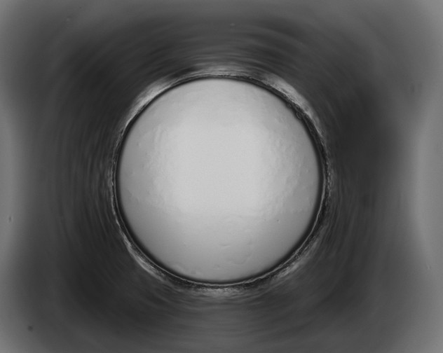 X0000083531425200703021540