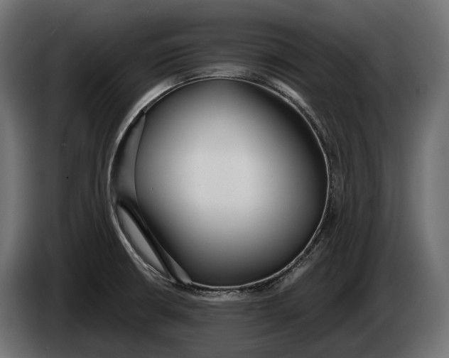 X0000083531426200703021540