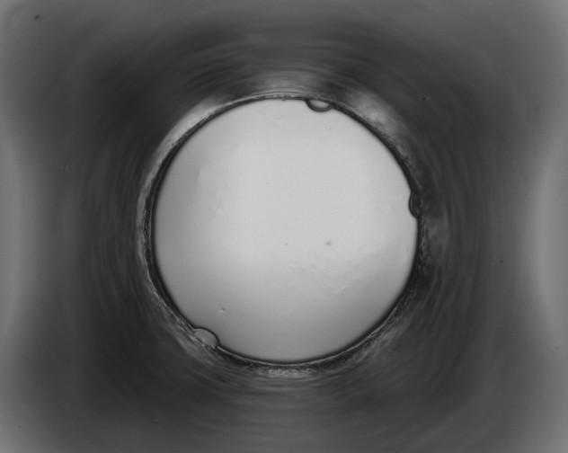 X0000083531427200703021540