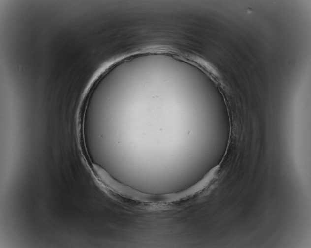 X0000083531430200703021540