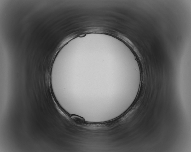 X0000083531433200703021540