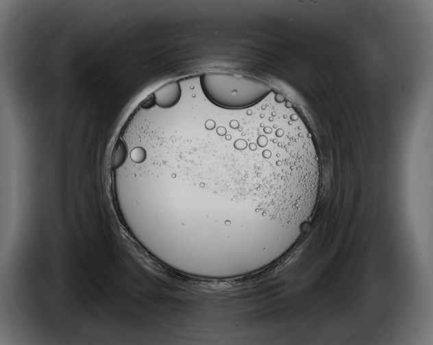 X0000083531435200703021540