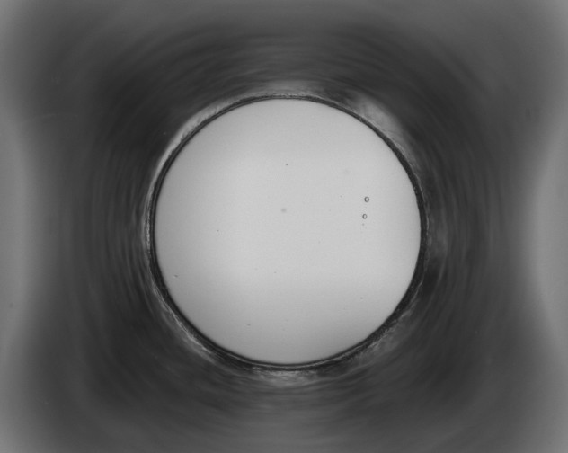 X0000083531436200703021540