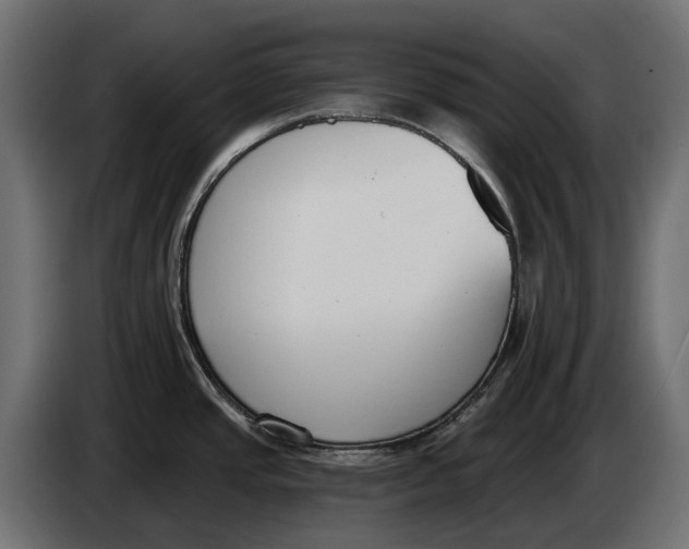 X0000083531437200703021540