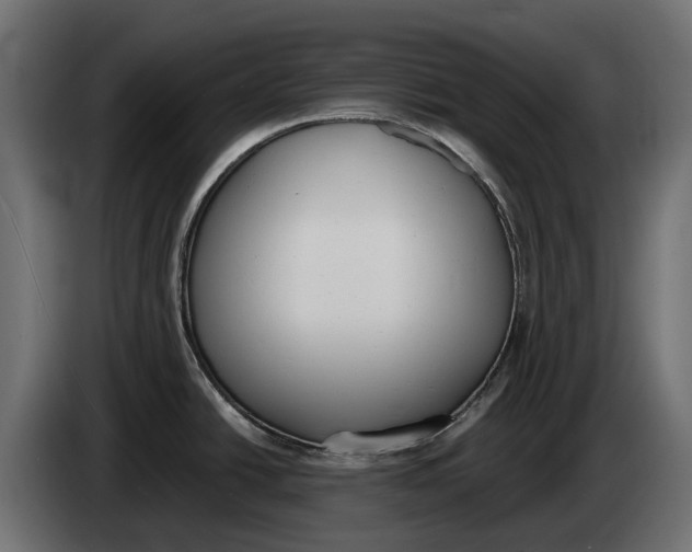 X0000083531438200703021540