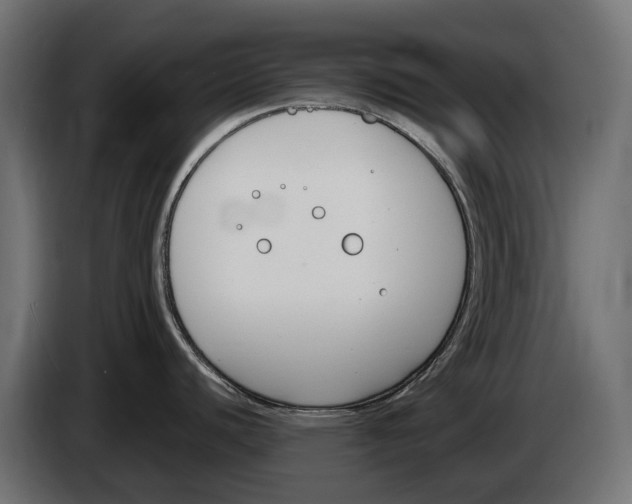 X0000083531440200703021540