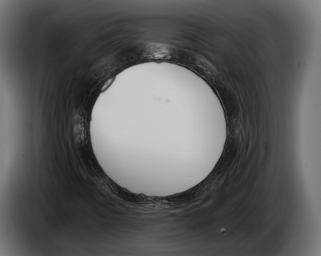 X0000083531442200703021539