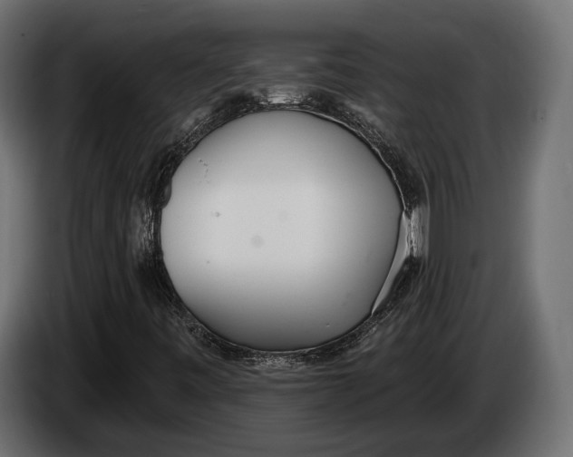 X0000083531443200703021539