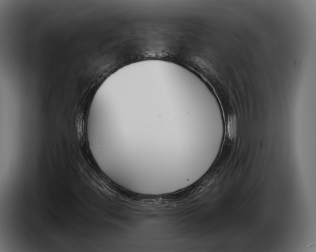 X0000083531444200703021539