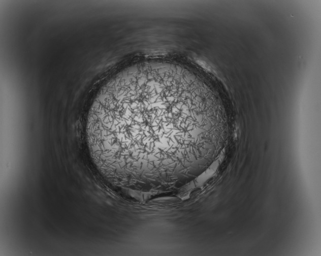 X0000083531445200703021539