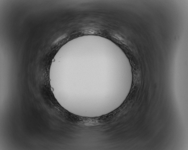 X0000083531446200703021539