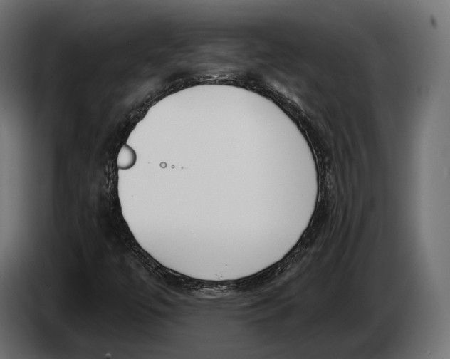 X0000083531447200703021539