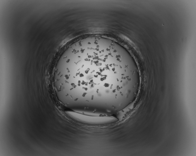 X0000083531449200703021539