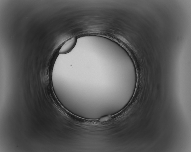 X0000083531450200703021539