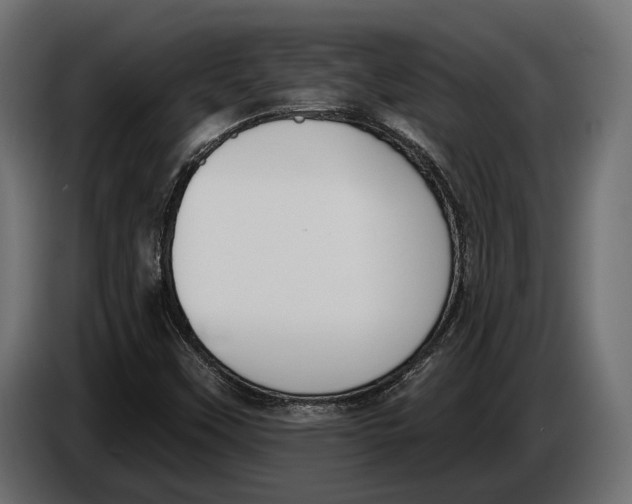 X0000083531451200703021539