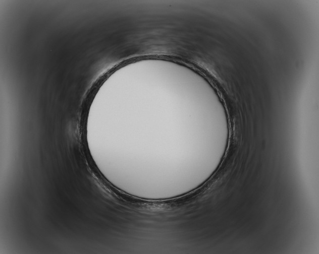 X0000083531452200703021539