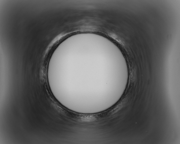 X0000083531454200703021539