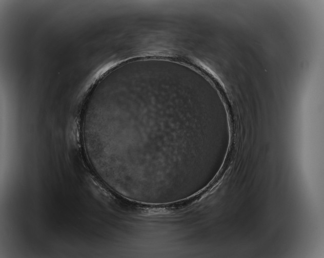 X0000083531455200703021539