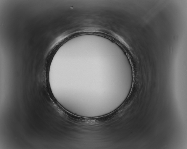 X0000083531456200703021539