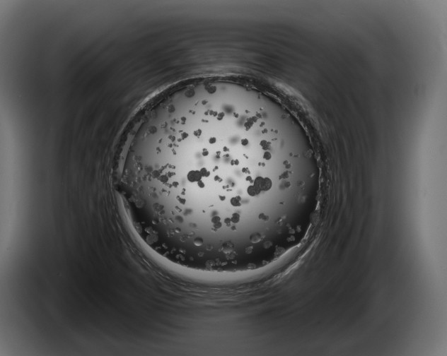 X0000083531457200703021539