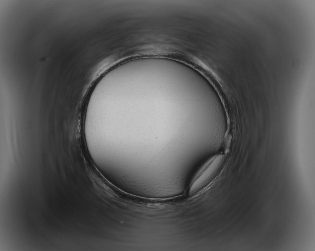 X0000083531459200703021539