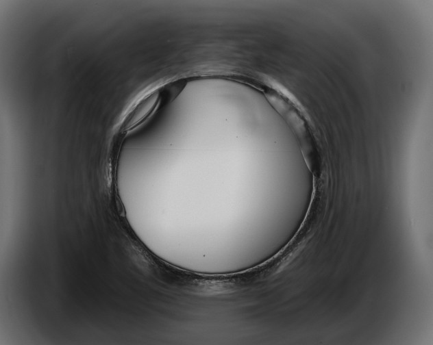 X0000083531461200703021539