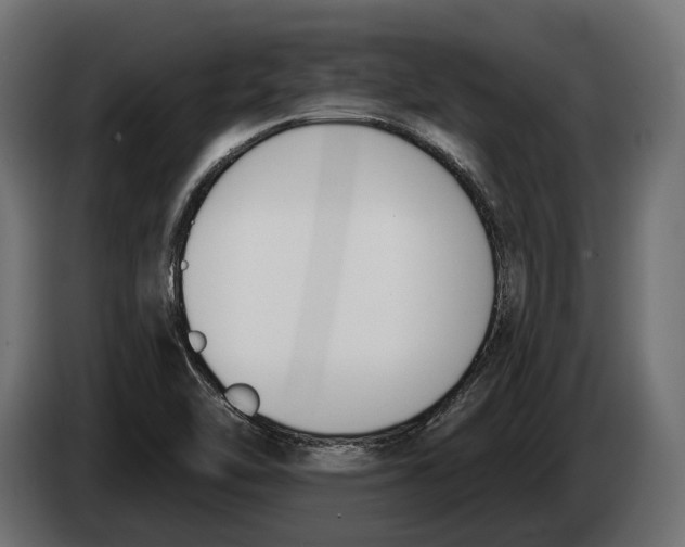 X0000083531462200703021539