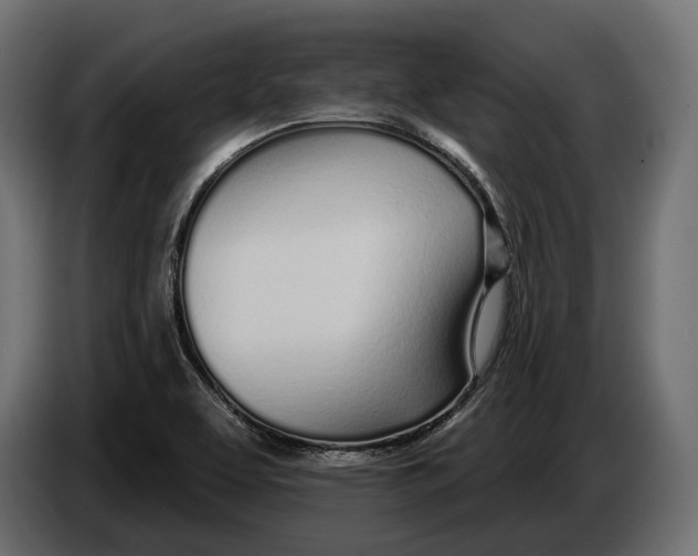 X0000083531463200703021539