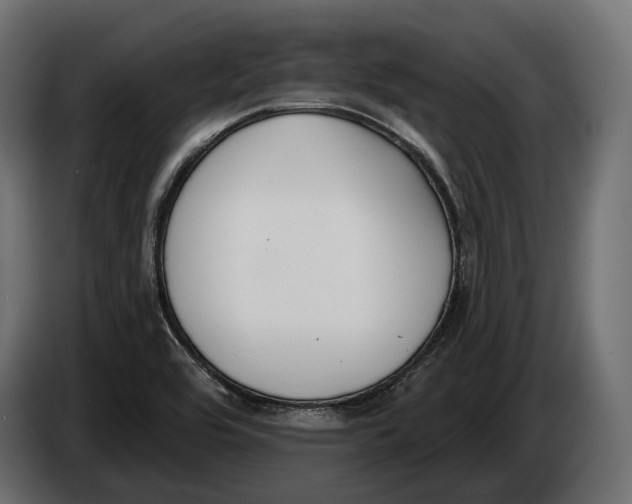 X0000083531464200703021539