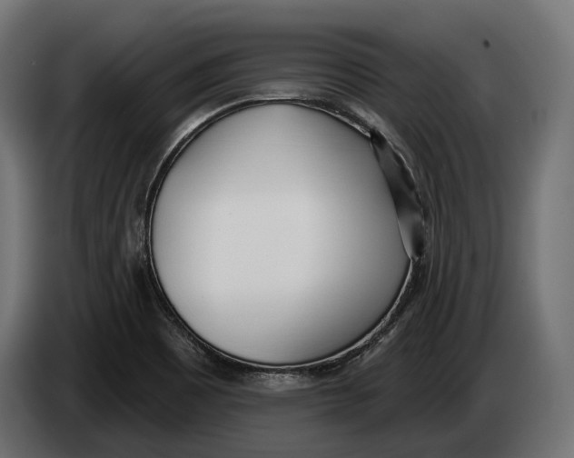 X0000083531465200703021539