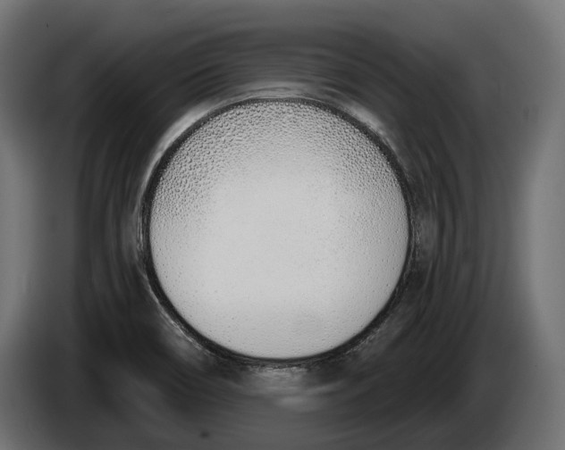 X0000083531466200703021539