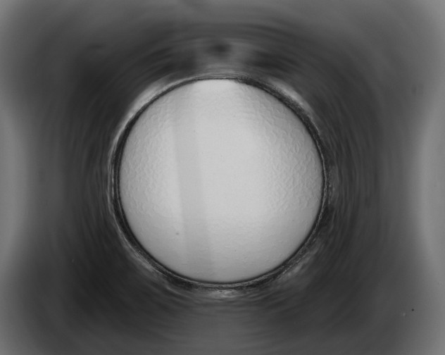 X0000083531467200703021539