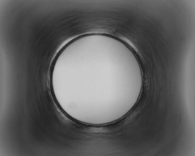 X0000083531468200703021539