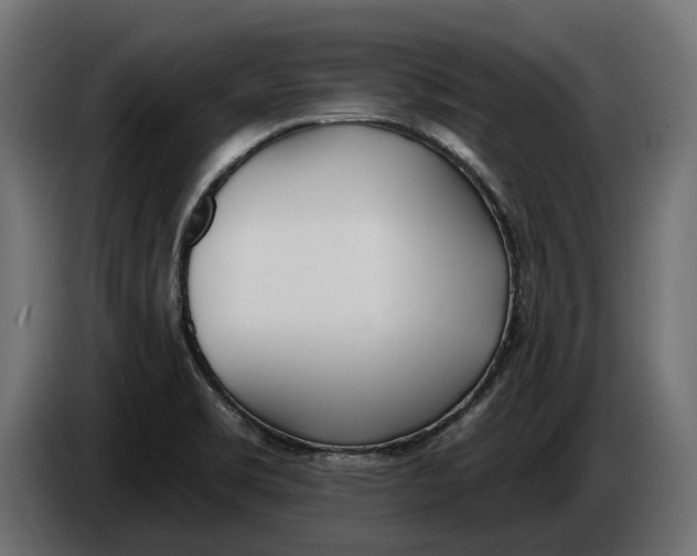 X0000083531469200703021539