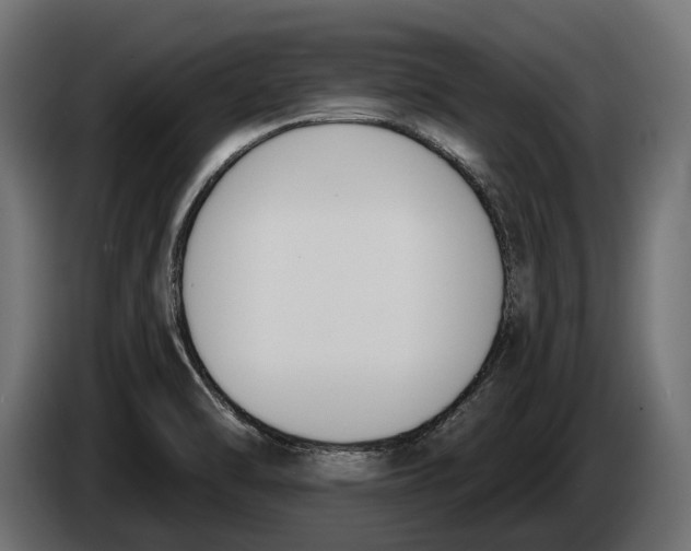 X0000083531470200703021538