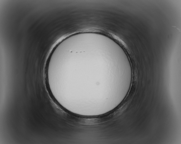 X0000083531471200703021538