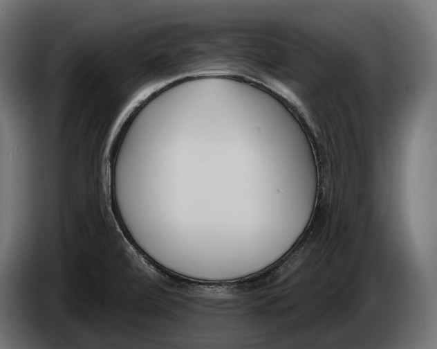 X0000083531472200703021538