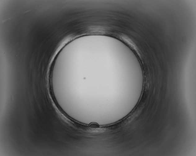 X0000083531475200703021538