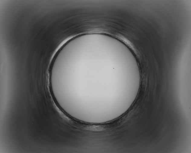 X0000083531476200703021538