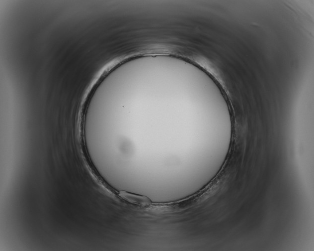 X0000083531477200703021538