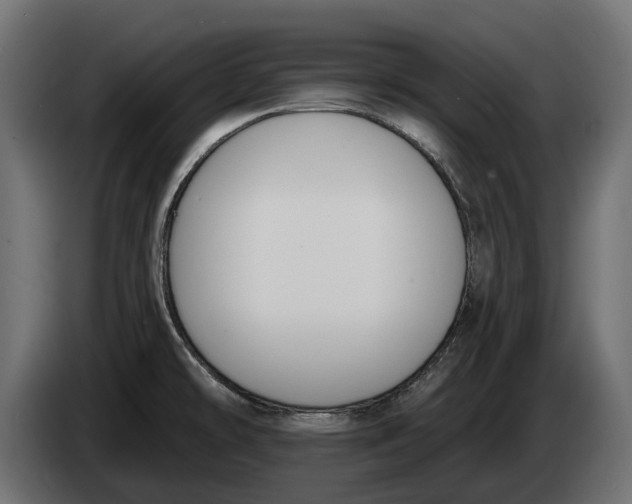 X0000083531478200703021538