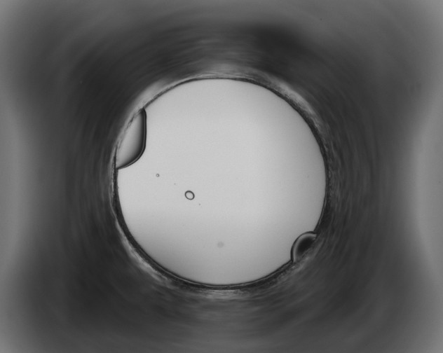 X0000083531479200703021538