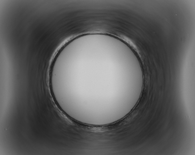 X0000083531480200703021538