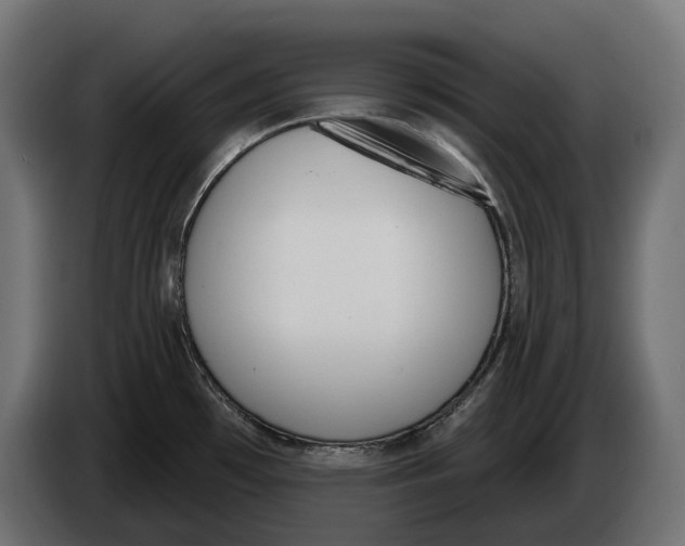 X0000083531481200703021538