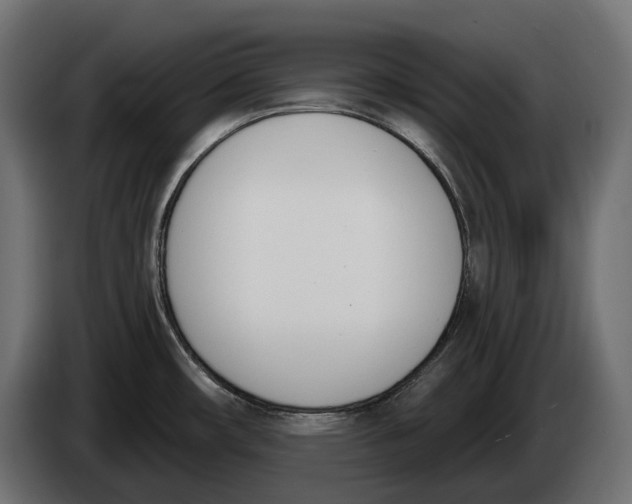 X0000083531482200703021538