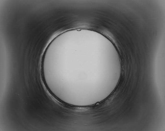 X0000083531483200703021538